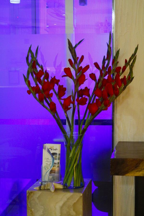 פוארטו אסקונדידו Hotel Careyes Puerto Escondido מראה חיצוני תמונה